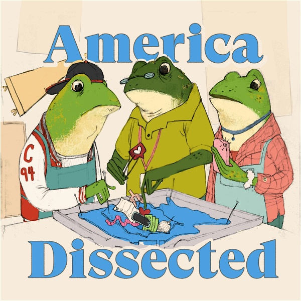 Artwork for America Dissected