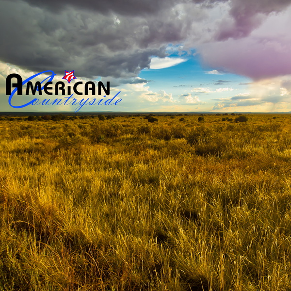 Artwork for American Countryside