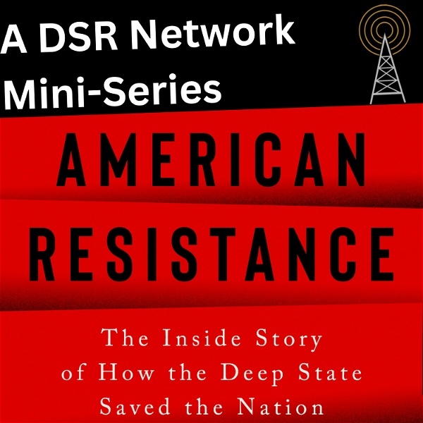 Artwork for American Resistance: A DSR Network Miniseries