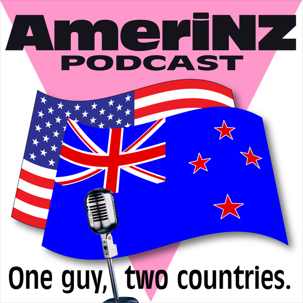 Artwork for AmeriNZ Podcast