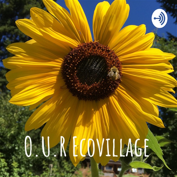 Artwork for An Ecovillage Podcast