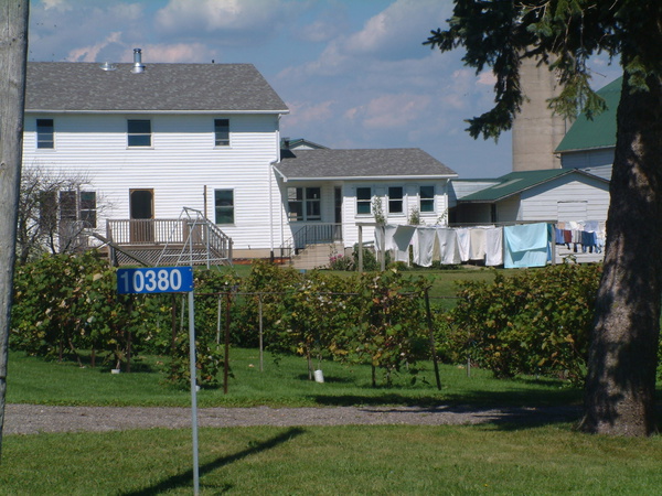 Artwork for Anabaptist Theological Perspectives