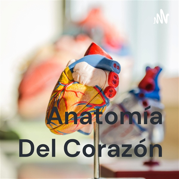 Artwork for Anatomía Del Corazón