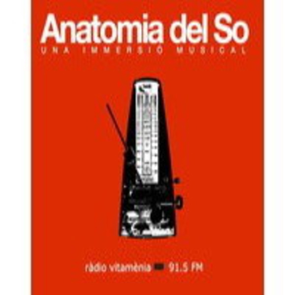 Artwork for Anatomia del So