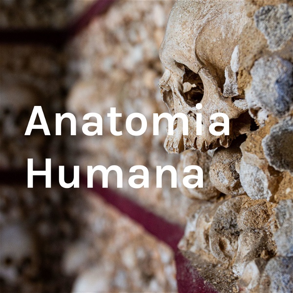 Artwork for Anatomia Humana