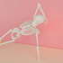Anatomie onderweg - een podcast van Nurse Your Anatomy