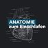 Anatomie zum Einschlafen