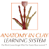 Anatomy in Clay® Learning System Podcast