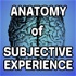 Anatomy of Subjective Experience