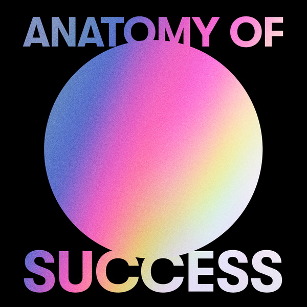 Artwork for Anatomy Of Success