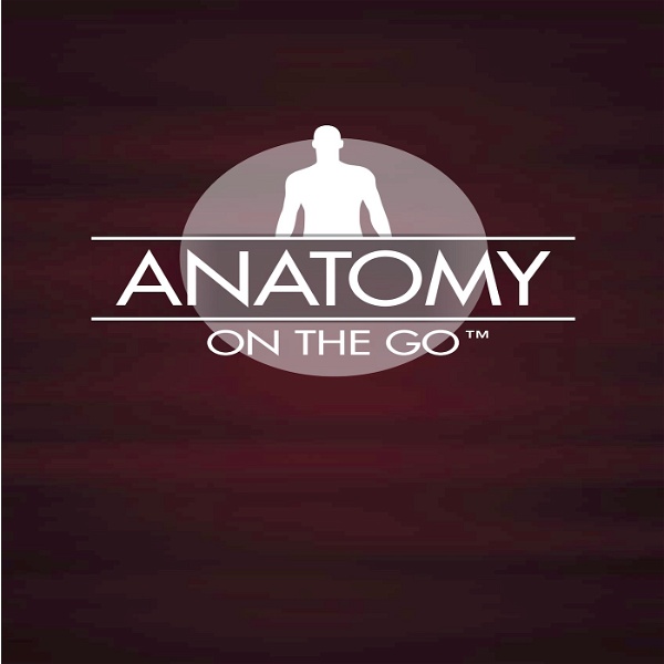 Artwork for Anatomy On The Go