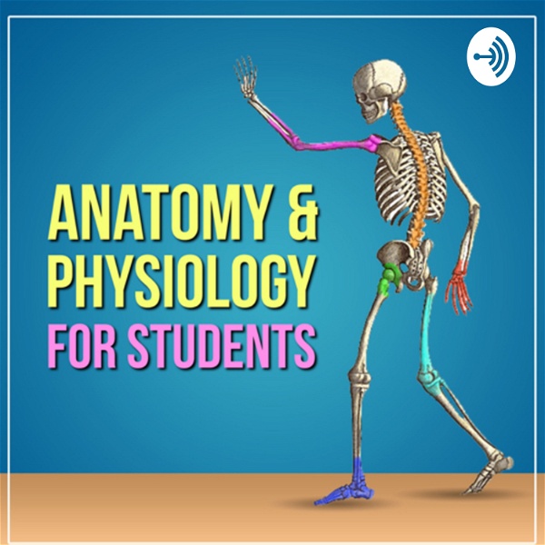 Artwork for Anatomy & Physiology For Students