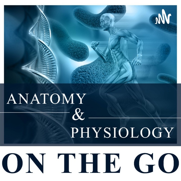 Artwork for Anatomy & Physiology On The Go