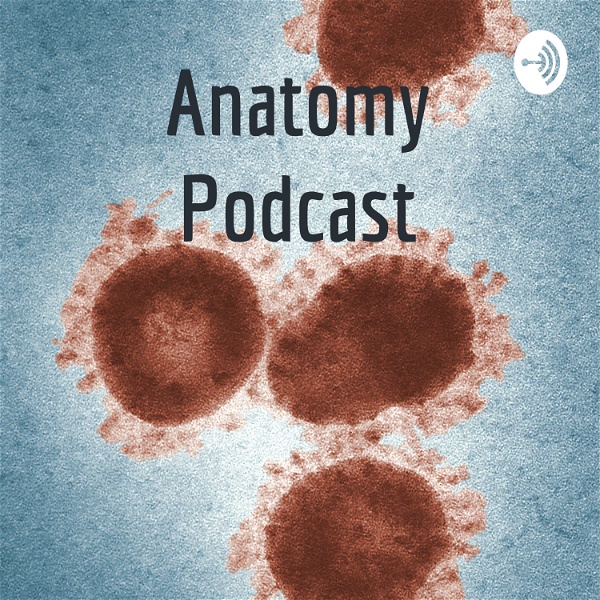 Artwork for Anatomy Podcast