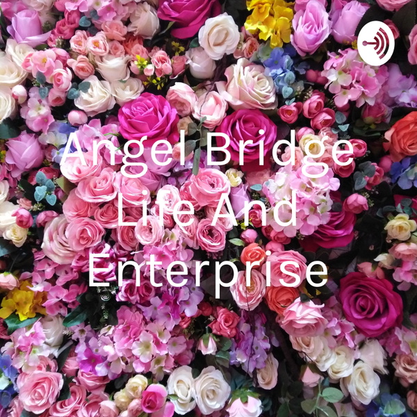 Artwork for Angel Bridge Life And Enterprise