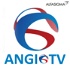 ANGIO TV