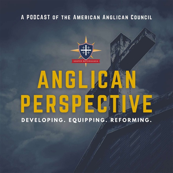 Artwork for Anglican Perspective