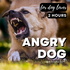 Dogs! (barking, howling, whining, growling, ecc...)