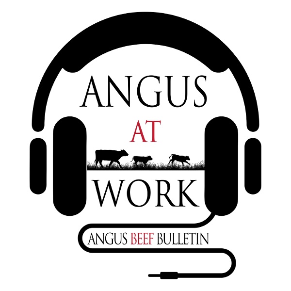 Artwork for Angus at Work