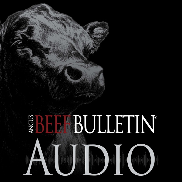 Artwork for Angus Beef Bulletin Audio