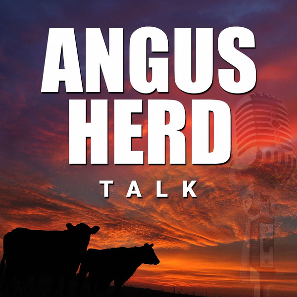 Artwork for Angus Herd Talk