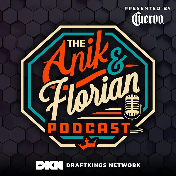 Artwork for The Anik & Florian Podcast