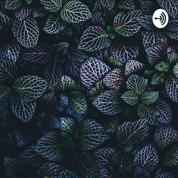 Artwork for Anil’s Podcasts