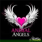 Artwork for Animal Angels on Pet Life Radio