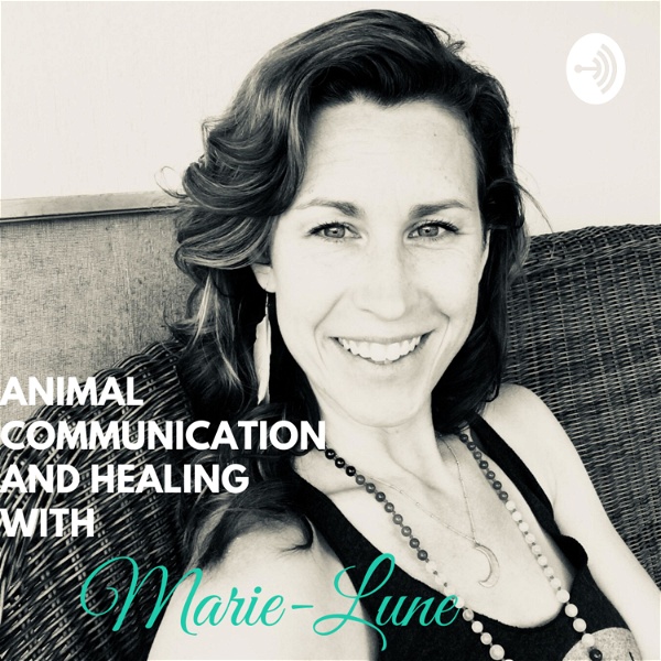 Artwork for Animal Communication and Healing