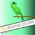 Animal cruise