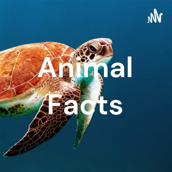 Artwork for Animal Facts