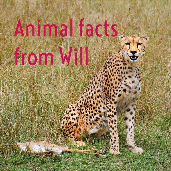 Artwork for Animal facts from Will