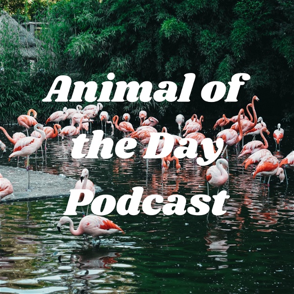 Artwork for Animal of the Day Podcast