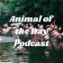 Animal of the Day Podcast