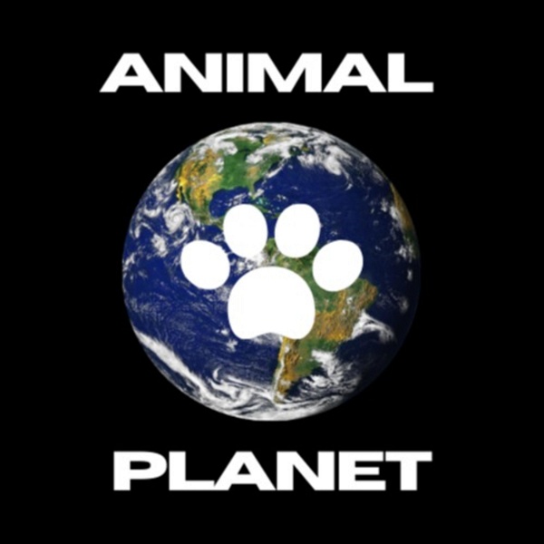 Artwork for Animal Planet