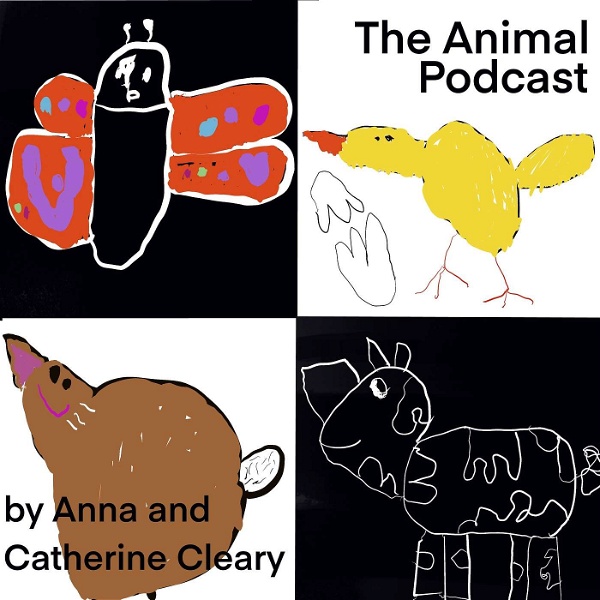 Artwork for Animal Podcast
