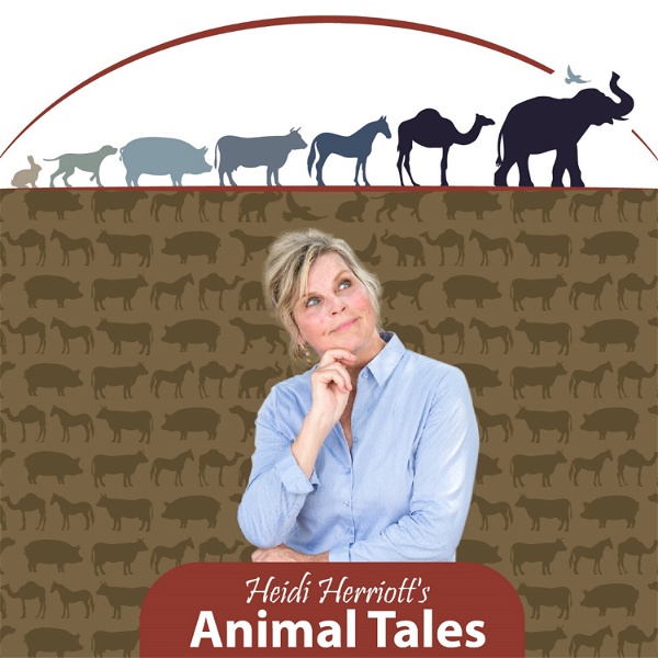 Artwork for Animal Tales