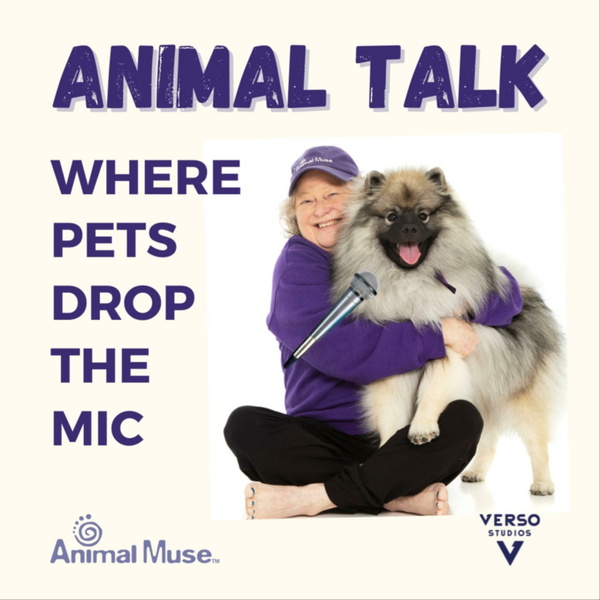 Artwork for Animal Talk: Where pets drop the mic