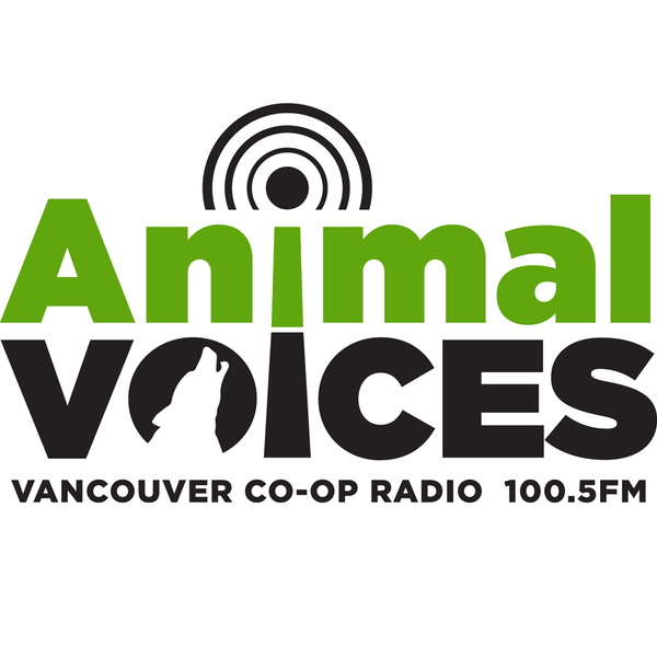 Artwork for Animal Voices