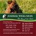 Animal Wellness Vets