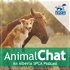 AnimalChat - An Alberta SPCA Podcast