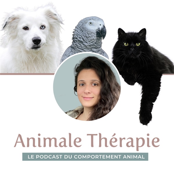 Artwork for Animale Therapie
