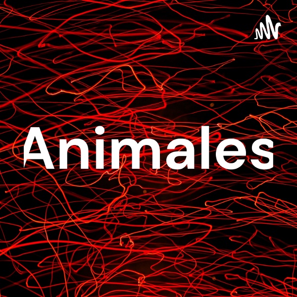 Artwork for Animales