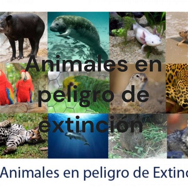 Artwork for Animales en peligro de extinción
