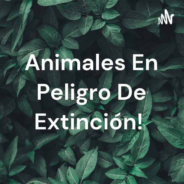 Artwork for Animales En Peligro De Extinción!