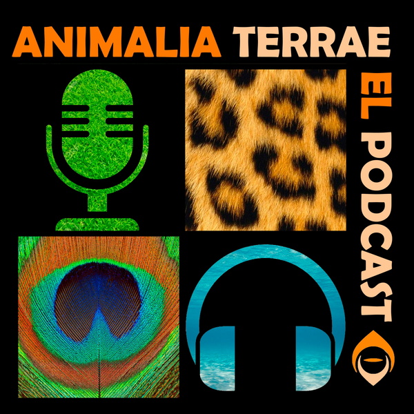 Artwork for Animalia Terrae