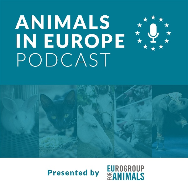 Artwork for Animals in Europe