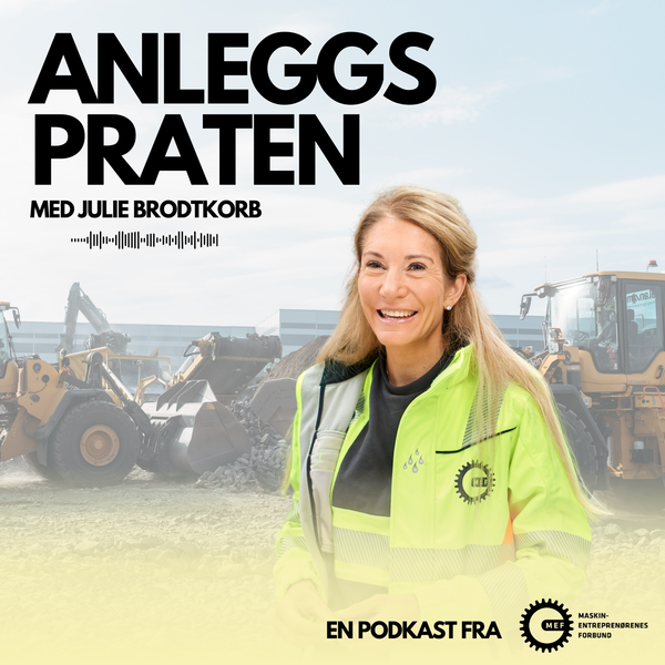 Artwork for Anleggspraten