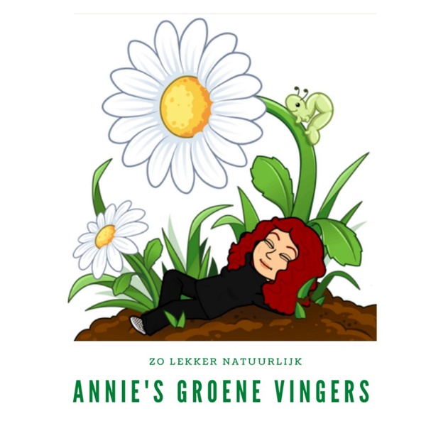 Artwork for Annie's Groene Vingers