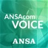 ANSAcom Voice